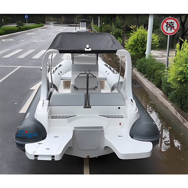 Liya 20Feet/6.2Meter semi rigid inflatable boat for 12people 