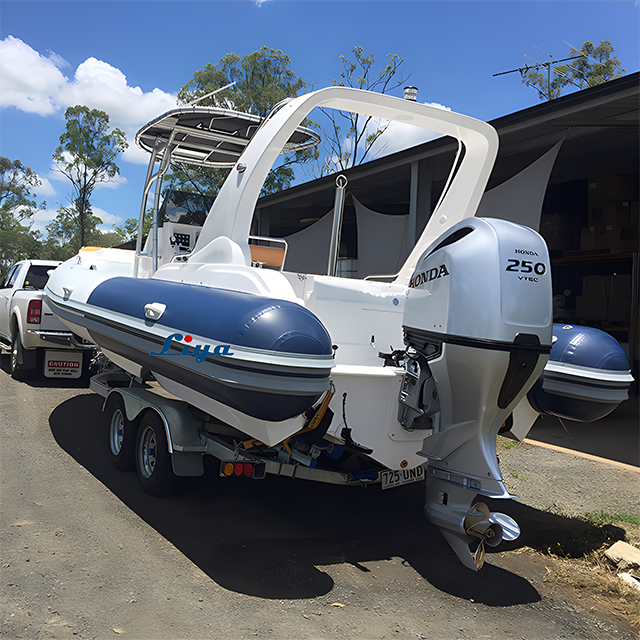 Bateau pneumatique semi-rigide/Bateau RIB de 24,7pieds/7,5M 