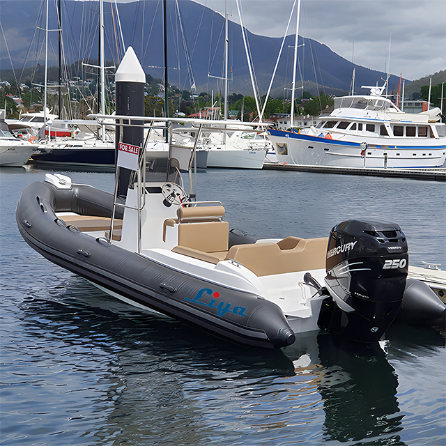 Bateau pneumatique semi-rigide de 22pieds