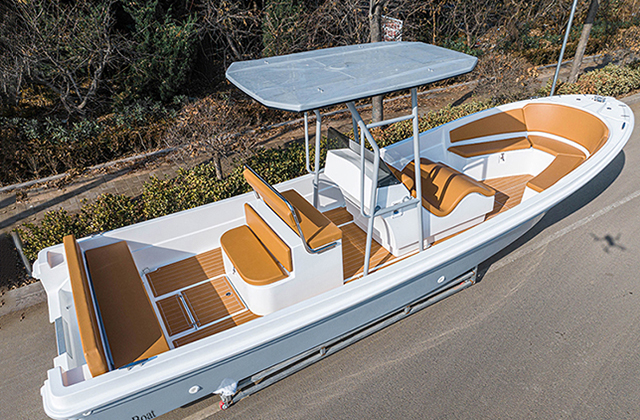 bateau panga de 25 pieds