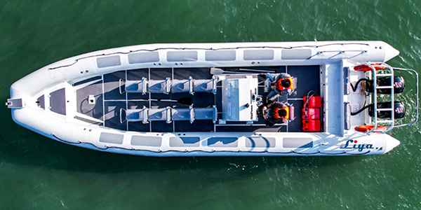 Liya Patrol Boat Aluminum hull Rib Boat 9-10 Meter