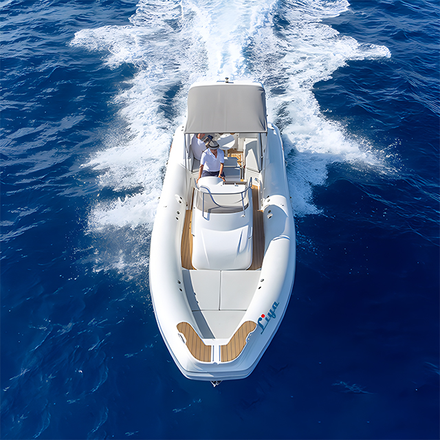 Liya Rigid rib 27 Feet Cabin Rib Boat 8.3 Meter Liya Rigid rib 27 Feet Cabin Rib Boat 8.3 Meter