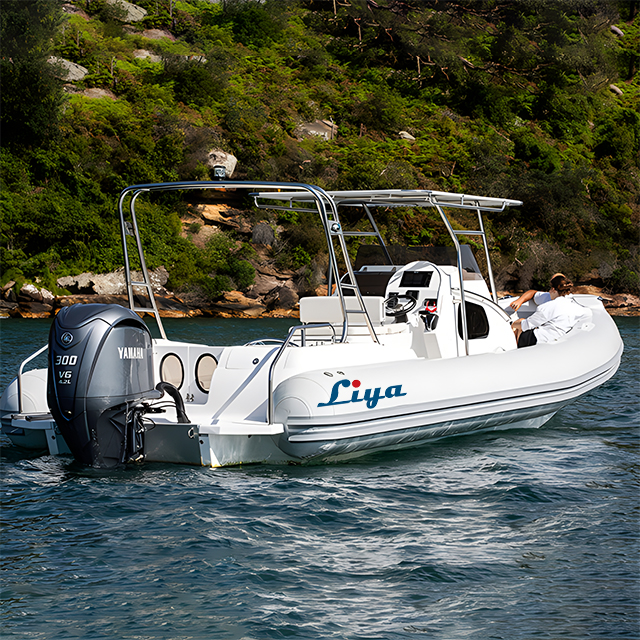 Liya Rigid rib 27 Feet Cabin Rib Boat 8.3 Meter Liya Rigid rib 27 Feet Cabin Rib Boat 8.3 Meter