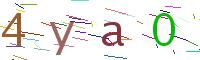 Verify Code
