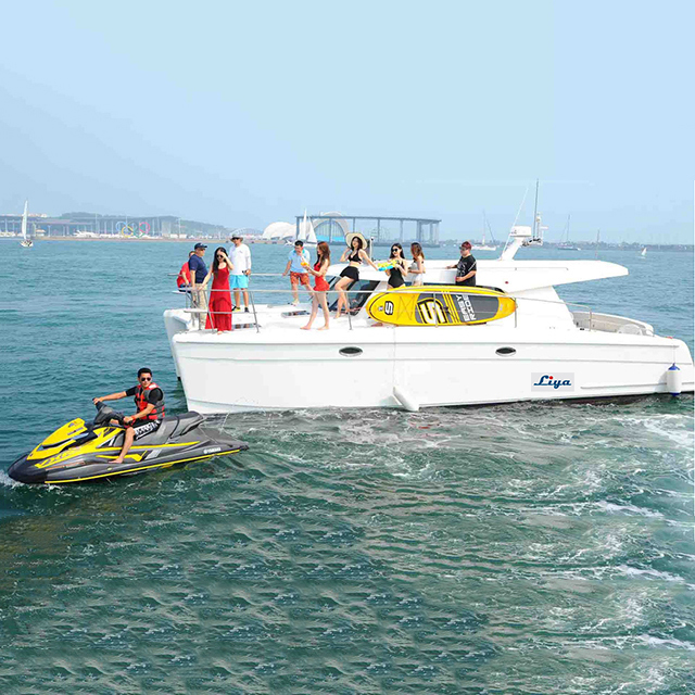 Liya catamaran boat 12people