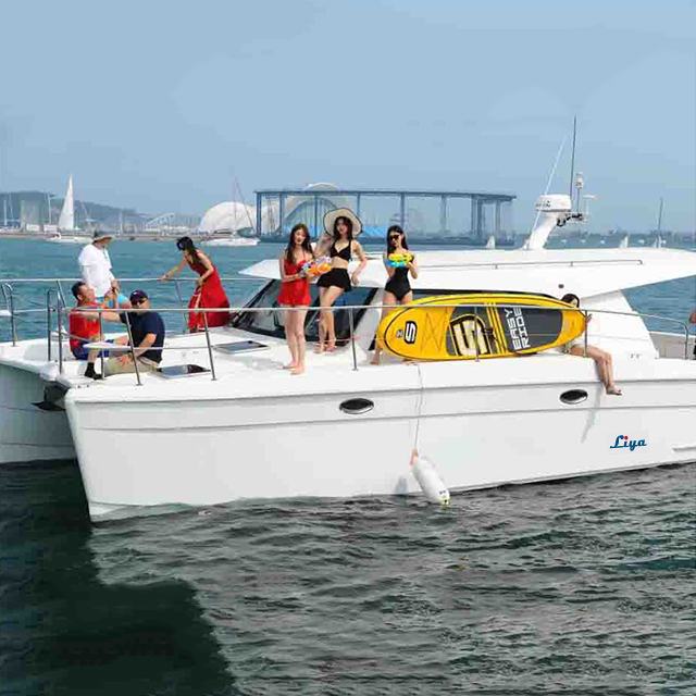 Liya catamaran boat 12people