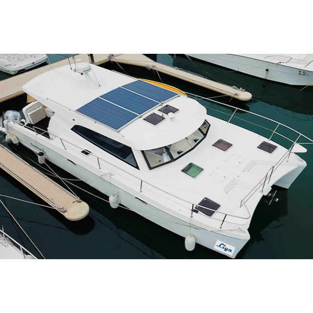 Liya catamaran boat 12people