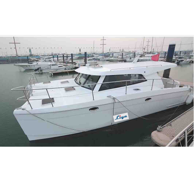 Liya catamaran boat 12people