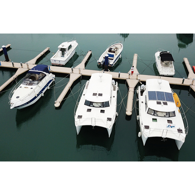 Liya catamaran boat 12people