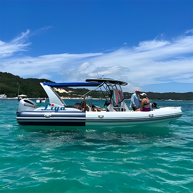 Bateau pneumatique semi-rigide/Bateau RIB de 24,7pieds/7,5M 
