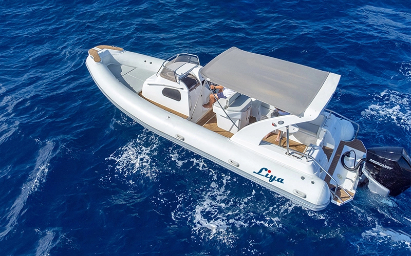 Liya Popular ribs Boats for sale