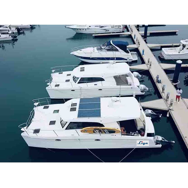 Liya catamaran boat 12people